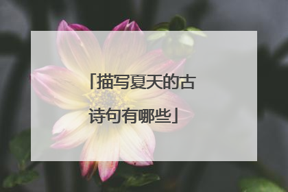 描写夏天的古诗句有哪些