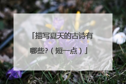 描写夏天的古诗有哪些?(短一点)