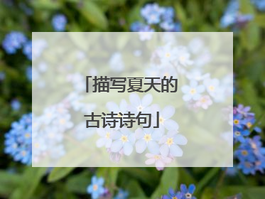 描写夏天的古诗诗句
