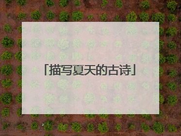 描写夏天的古诗