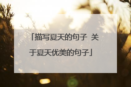 描写夏天的句子 关于夏天优美的句子