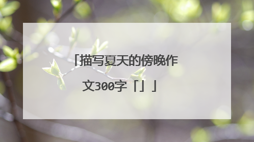 描写夏天的傍晚作文300字「」