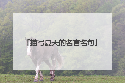 描写夏天的名言名句