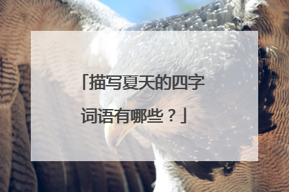 描写夏天的四字词语有哪些？