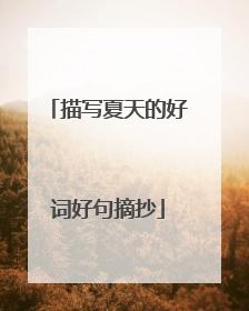 描写夏天的好词好句摘抄
