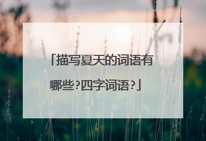 描写夏天的词语有哪些?四字词语?