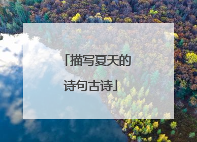 描写夏天的诗句古诗
