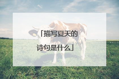 描写夏天的诗句是什么