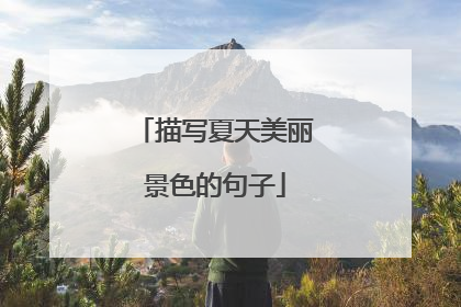 描写夏天美丽景色的句子