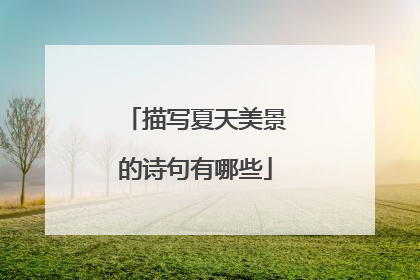 描写夏天美景的诗句有哪些
