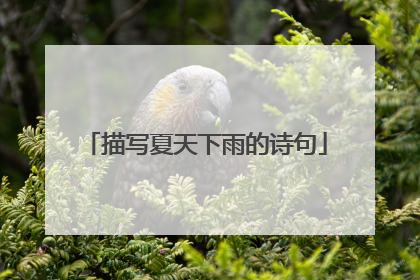 描写夏天下雨的诗句