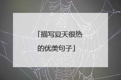 描写夏天很热的优美句子