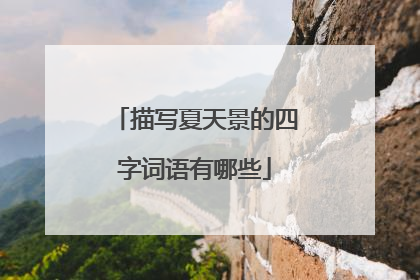 描写夏天景的四字词语有哪些