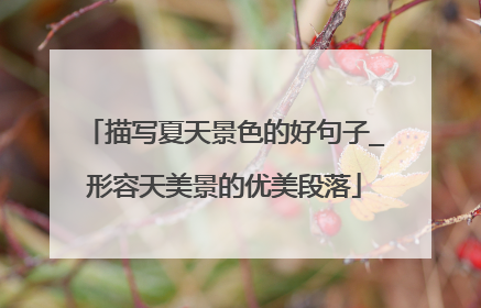 描写夏天景色的好句子_形容天美景的优美段落