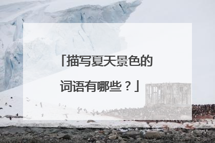 描写夏天景色的词语有哪些?