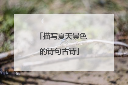 描写夏天景色的诗句古诗