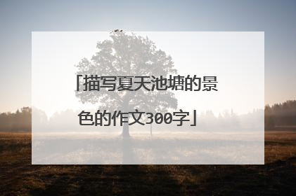 描写夏天池塘的景色的作文300字