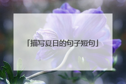 描写夏日的句子短句