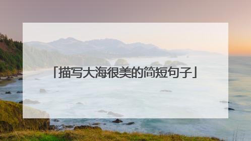 描写大海很美的简短句子