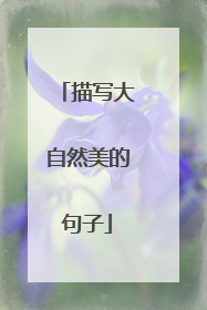 描写大自然美的句子