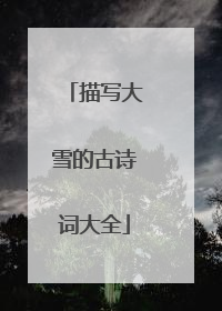 描写大雪的古诗词大全
