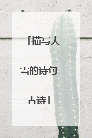 描写大雪的诗句古诗