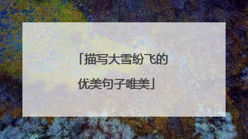 描写大雪纷飞的优美句子唯美
