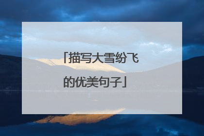 描写大雪纷飞的优美句子