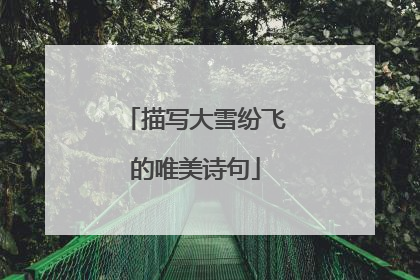 描写大雪纷飞的唯美诗句