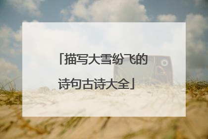 描写大雪纷飞的诗句古诗大全
