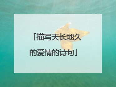 描写天长地久的爱情的诗句