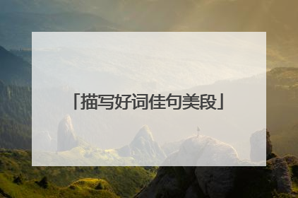 描写好词佳句美段