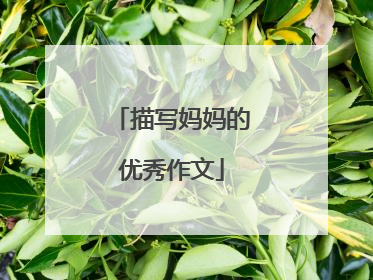 描写妈妈的优秀作文