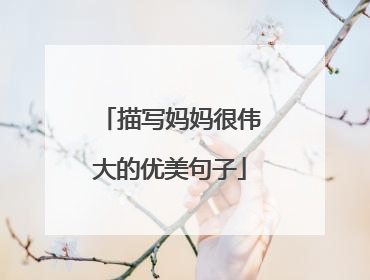 描写妈妈很伟大的优美句子
