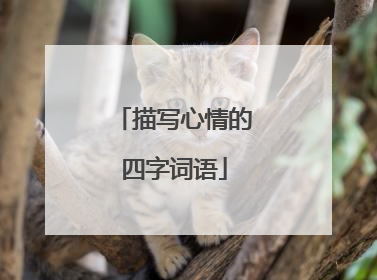 描写心情的四字词语