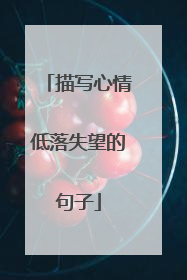 描写心情低落失望的句子