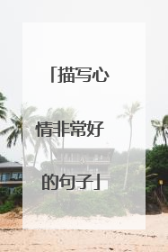 描写心情非常好的句子