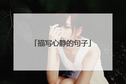 描写心静的句子