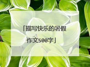 描写快乐的暑假作文500字