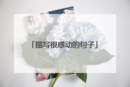 描写很感动的句子