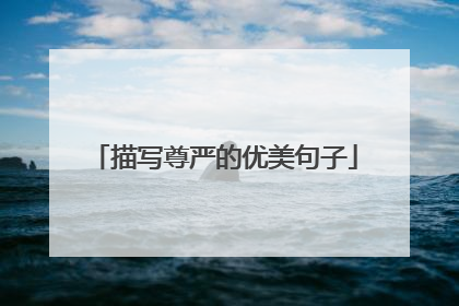 描写尊严的优美句子