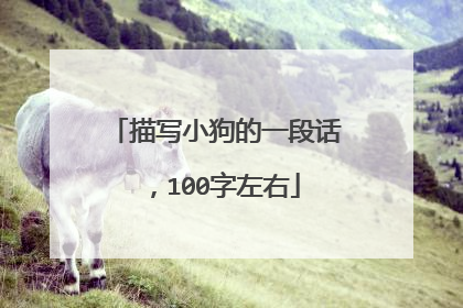 描写小狗的一段话，100字左右