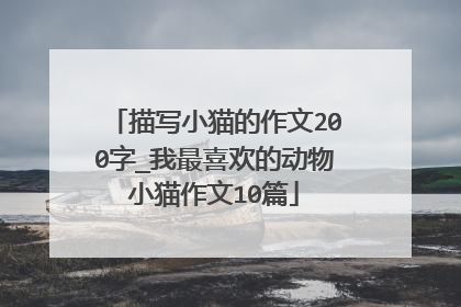 描写小猫的作文200字_我最喜欢的动物小猫作文10篇