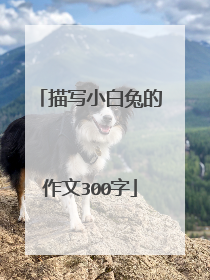 描写小白兔的作文300字