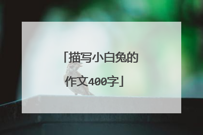 描写小白兔的作文400字