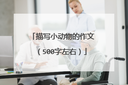 描写小动物的作文(500字左右)