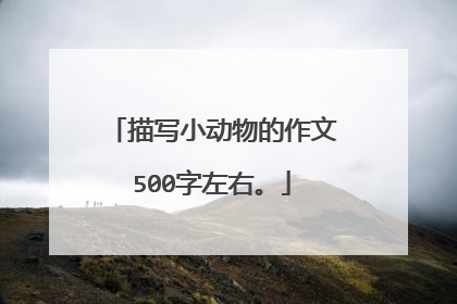 描写小动物的作文500字左右。