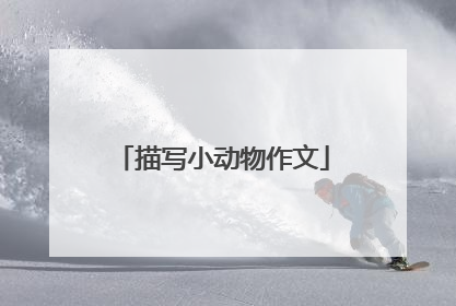描写小动物作文