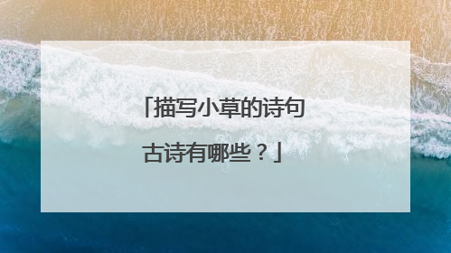 描写小草的诗句古诗有哪些?