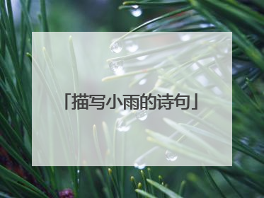 描写小雨的诗句